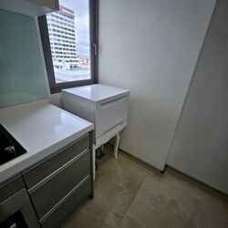 The Shore Residences (D15), Condominium #629793041
